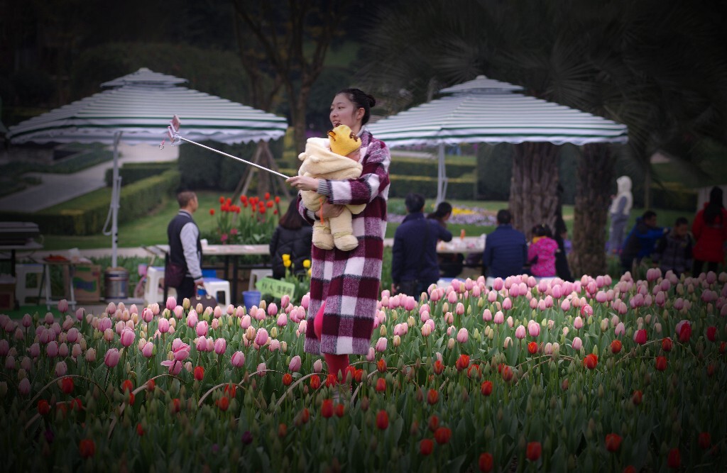 卢家少妇郁金香，海燕双栖玳瑁梁。  九月寒砧催木叶，十年征戍忆辽阳。 白狼河北音书断，丹凤城南秋夜长。 谁为含愁独不见，更教明月照流黄？ 玉钗翠羽饰，罗袖郁金香。 《古意呈补阙乔知之》 ——唐•沈佺期 