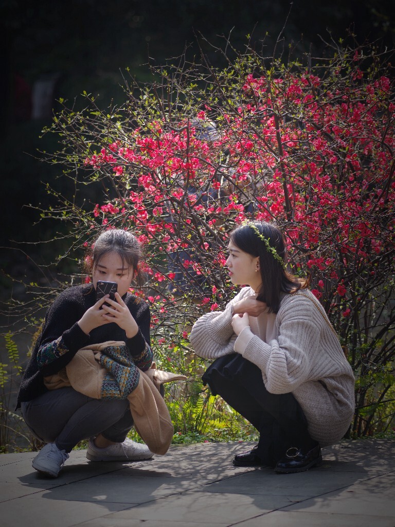 诗家清景在新春，绿柳才黄半未匀。若待上林花似锦，出门俱是看花人。（唐杨巨源《城中早春》）