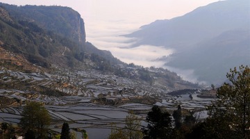 元阳梯田