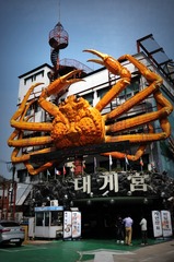 蟹