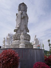 TXSJ2970