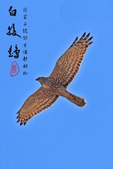 1546510
