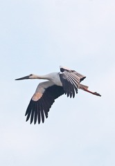 1365860