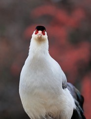 2349571
