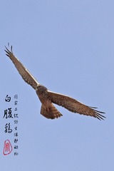 2078043