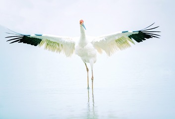 2937680