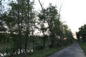 20160918173719_IMG_0833