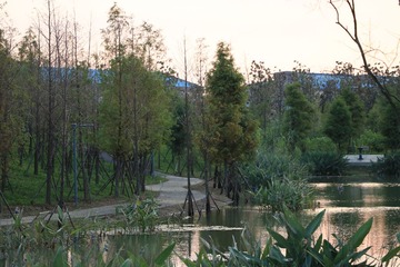 20160918174000_IMG_0837