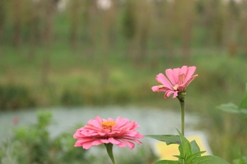 20160918175045_IMG_0849