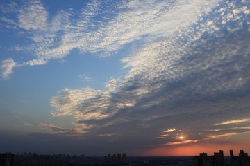 20160827180902_IMG_0560