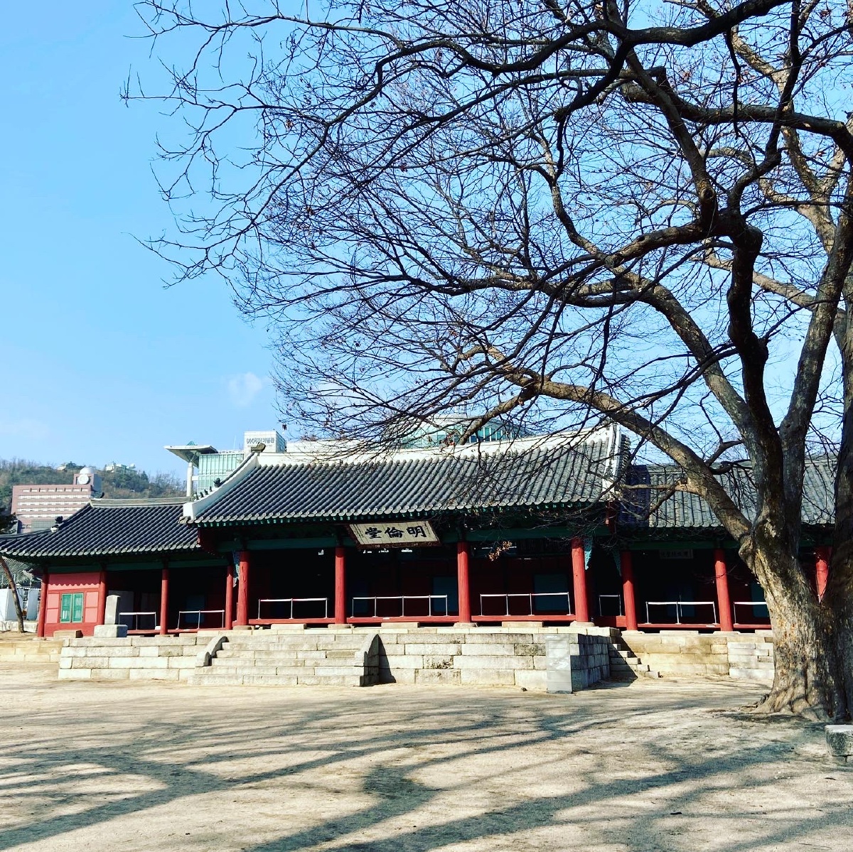 韩国成均馆大学明伦堂 - 布朗熊大 - 图虫