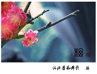 梅