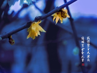 DSC06074_