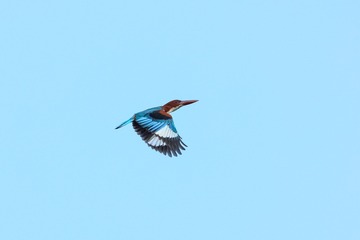 2B5551DC-32C7-4A72-86AC-A6D539DF50CD/L0/001