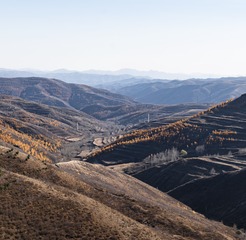 2165480