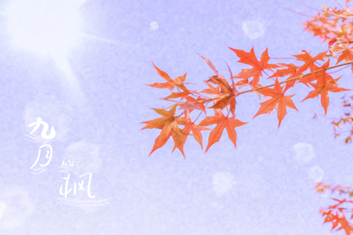 九月的枫记得带上心爱的人去看