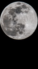 2166972