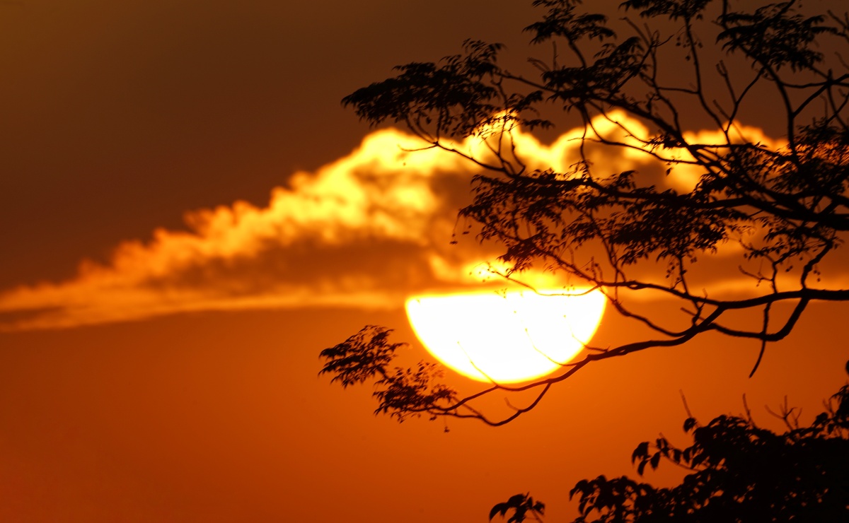 彩云追日树来衬