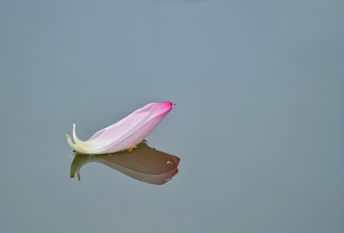 一叶轻舟整装待发