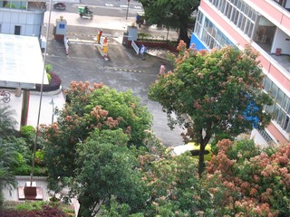 BB4D9B54-66F6-4B3A-A5F8-9E5684B89DC3/L0/001