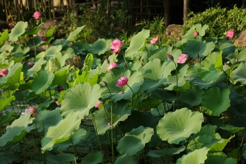 001