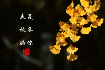 548544