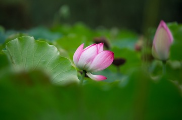 CA6D686C-0E1D-4674-9585-CB5372D6EC5F/L0/001