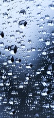 F13726DE-C866-498B-98DE-8D2346D48CBD/L0/001