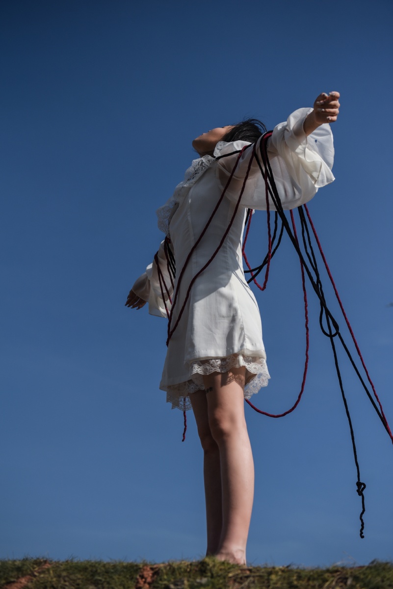 鱼儿是自由的风也是自由的气球向往天空你同样向往缠绕束缚最终成为