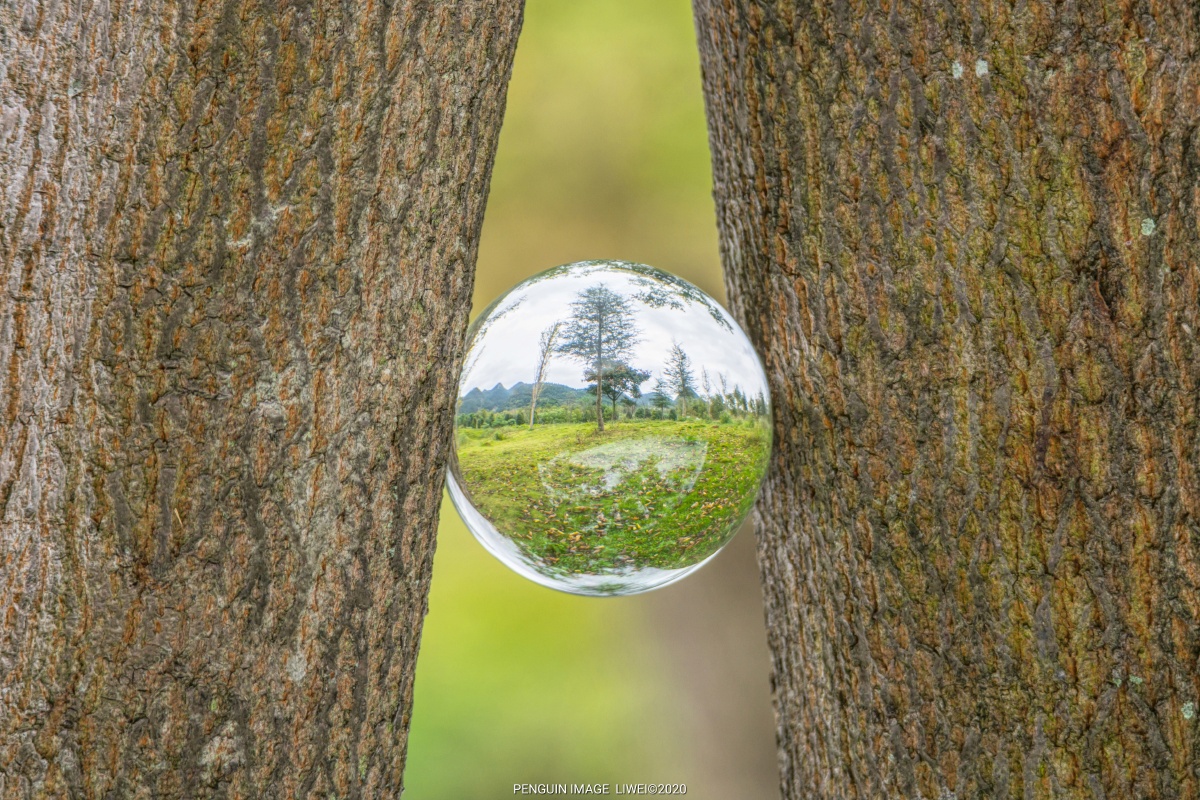 失重换个角度看世界摄兴义市峡谷湿地公园