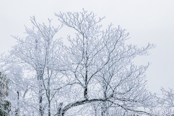 1000025660