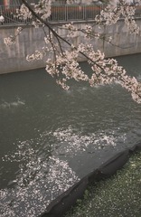 AB84F6B7-D673-484A-BF80-FF3E11E9EDC8/L0/001