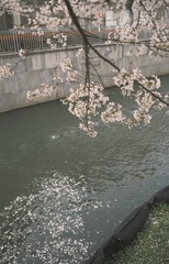 D3DF376C-FCF8-4726-A59C-7021F309293A/L0/001