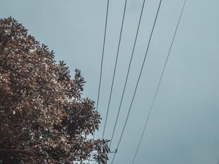 996059