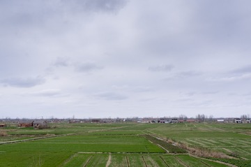 DSC00335_1