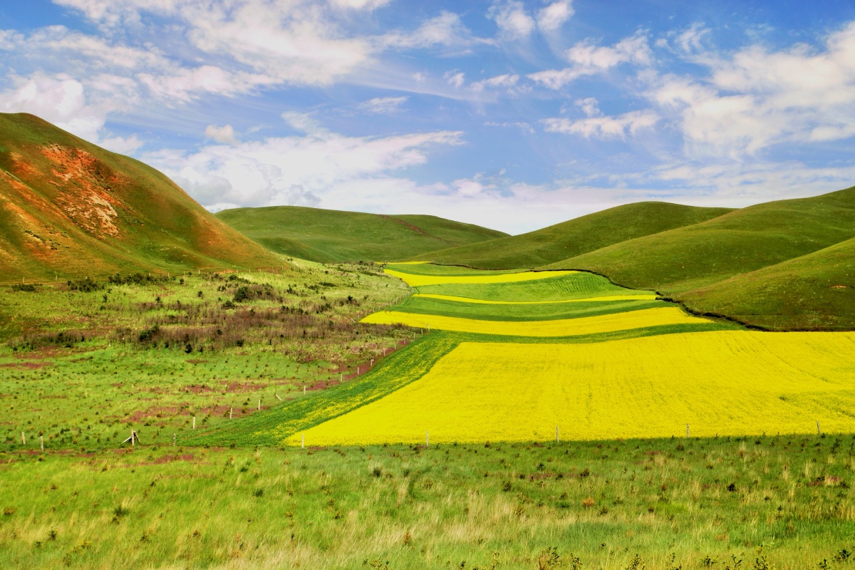 美丽的卓尔山远处那是风景近处才是人生珍惜当下活在未来