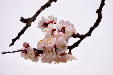 BDF30D4F-D38C-43E9-BC60-6F3768C3BC76/L0/001