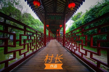DSC04534-01