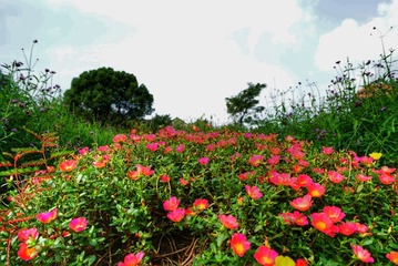 DSC05451-01