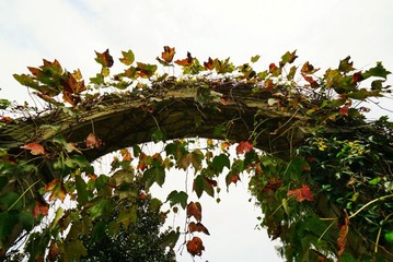 DSC05469-01