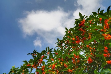 DSC05442-01