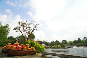 DSC05434-01