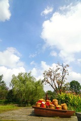 DSC05435-01