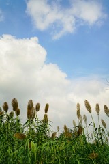 DSC05422-01