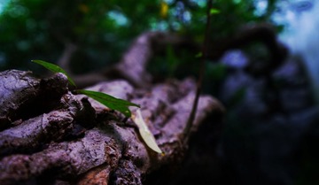 DSC05550-01