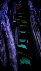 DSC05584-01