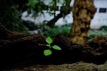 DSC05544-01