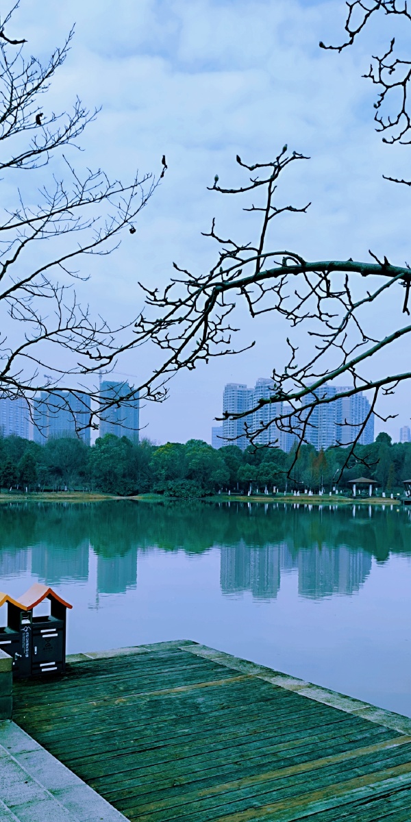 长沙月湖公园