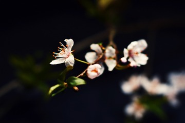 1304673