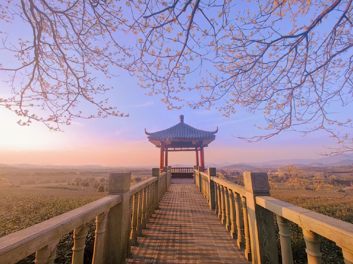 打卡网红景点宜兴老虎山